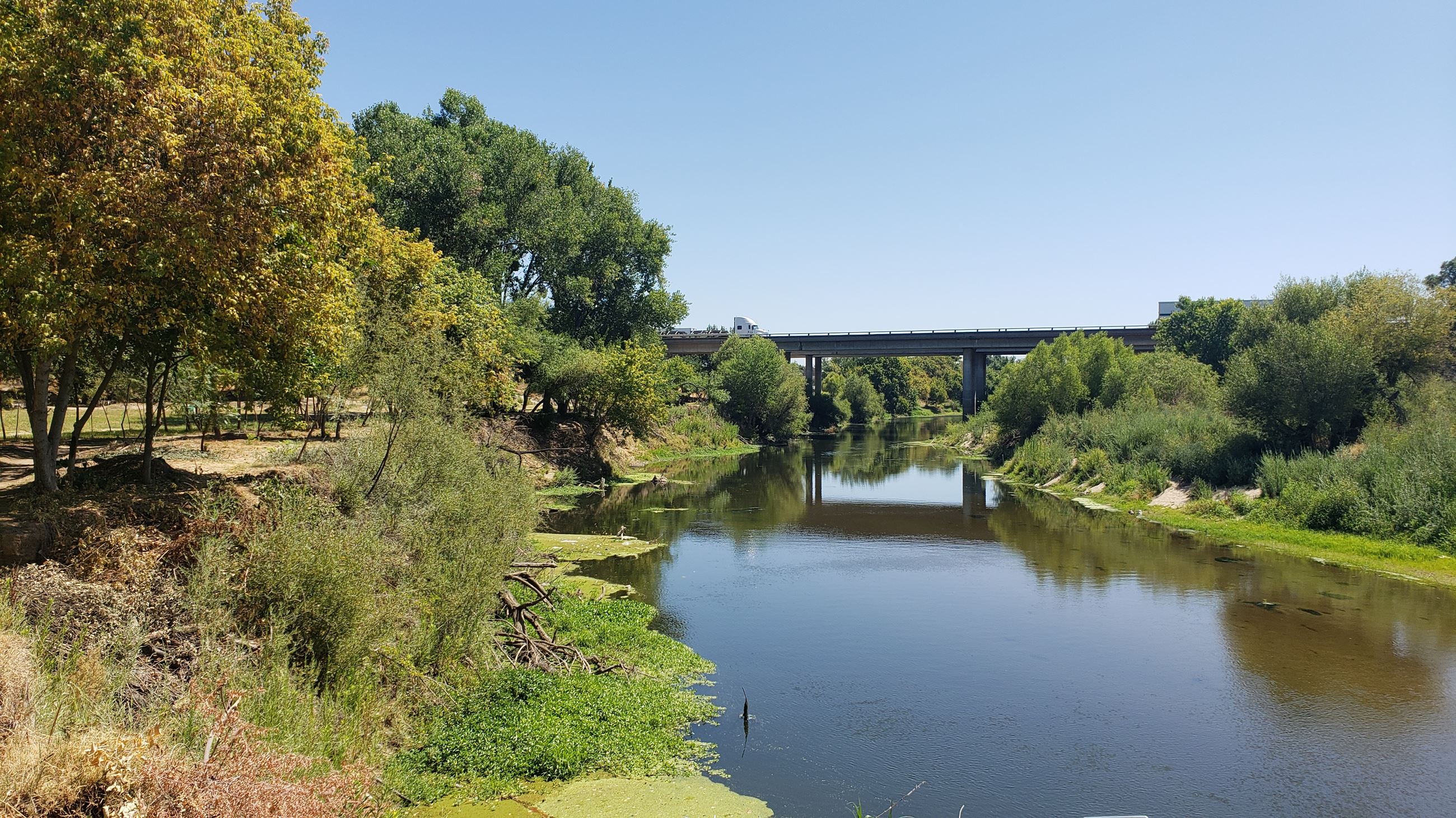 Tuolumne River Regional Park River Picture
