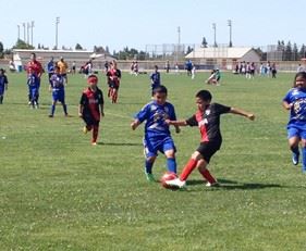 Young Soccer Players on a Soccer Field