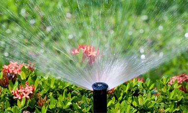 Sprinkler watering grass